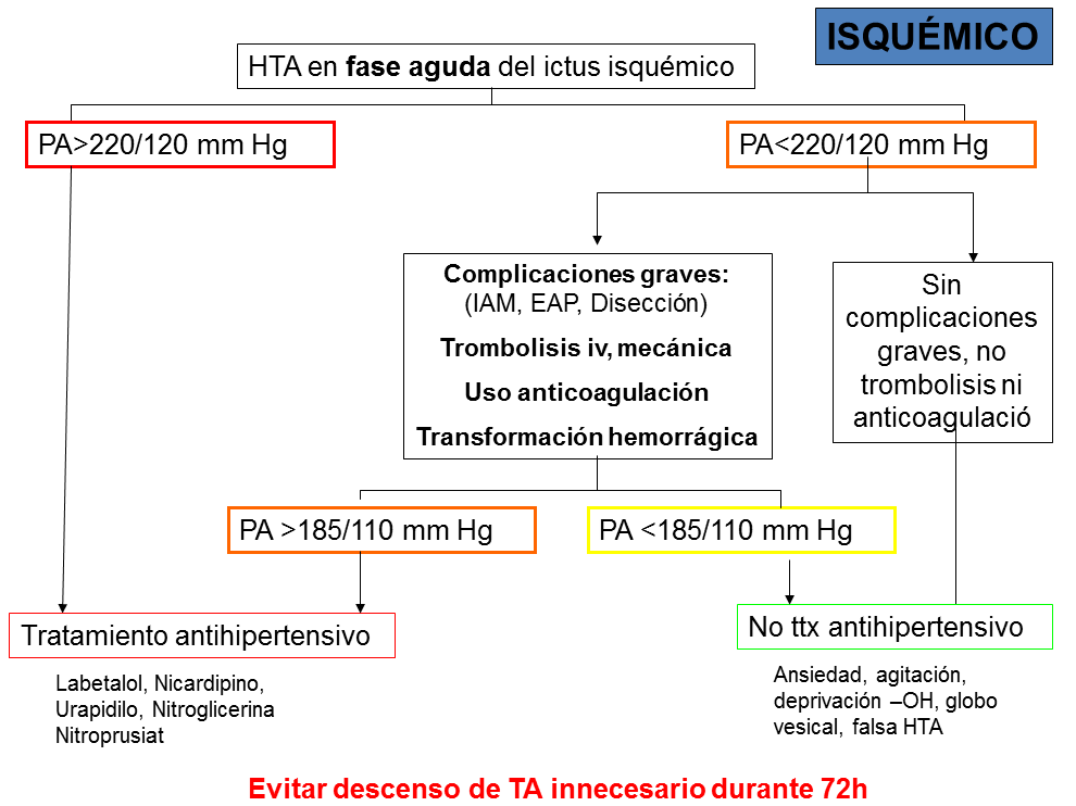 Hypertension during the Acute Phase of Stroke