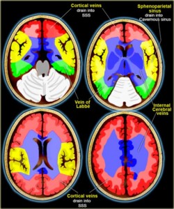 veinradiologicalassistant